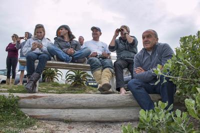 IMG 9379paarmanbenchWEB